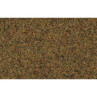 tetrapro algae11